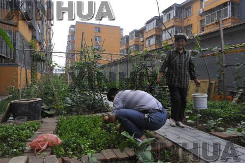http://m.thaithavorn.com/uploadfile/2014/0714/20140714024832334.jpg