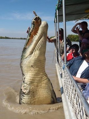 http://m.thaithavorn.com/uploadfile/2014/0819/20140819041818226.jpg