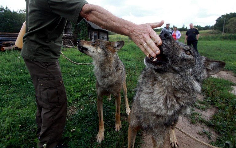 http://m.thaithavorn.com/uploadfile/2014/0819/20140819042219573.jpg