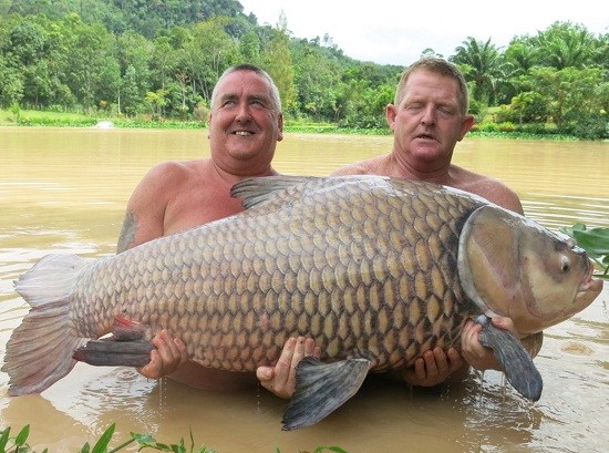 http://m.thaithavorn.com/uploadfile/2014/0821/20140821040628504.jpg