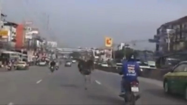 http://m.thaithavorn.com/uploadfile/2014/0904/20140904025142791.jpg