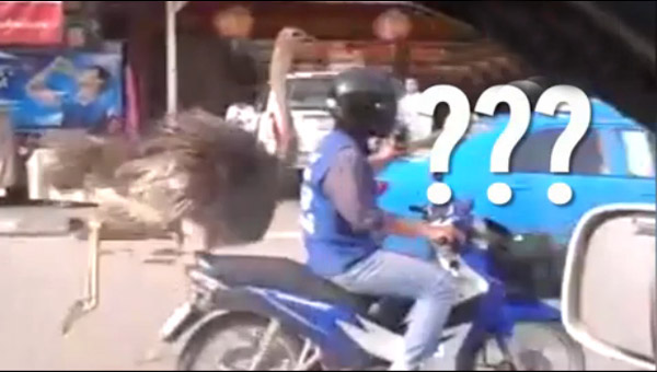 http://m.thaithavorn.com/uploadfile/2014/0904/20140904025223309.jpg