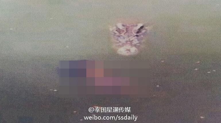 http://m.thaithavorn.com/uploadfile/2014/0916/20140916022209991.jpg