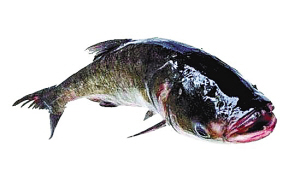http://m.thaithavorn.com/uploadfile/2014/0922/20140922102154163.jpg