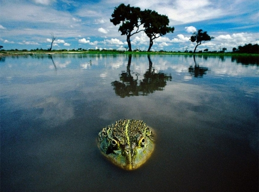 http://m.thaithavorn.com/uploadfile/2014/1008/20141008103251473.bmp
