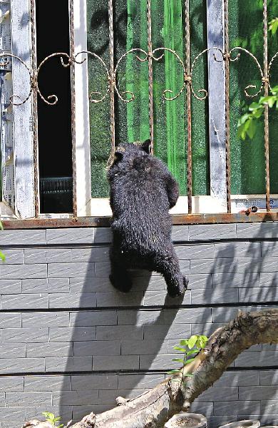 http://m.thaithavorn.com/uploadfile/2015/0507/20150507104027358.jpg