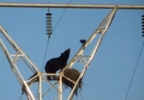 http://m.thaithavorn.com/uploadfile/2015/0525/20150525035747479.jpg