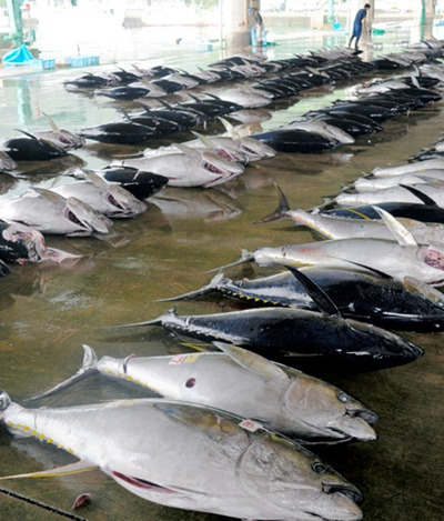 http://m.thaithavorn.com/uploadfile/2015/0627/20150627104115607.jpg