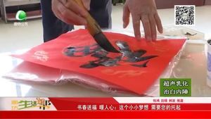 書春送福 暖人心：這個(gè)小小夢(mèng)想 需要您的托起