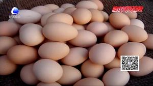 食在好源頭——吃雞蛋的常見(jiàn)誤區(qū)