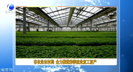 市農業(yè)農村局 全力推進種養(yǎng)殖業(yè)復工復產
