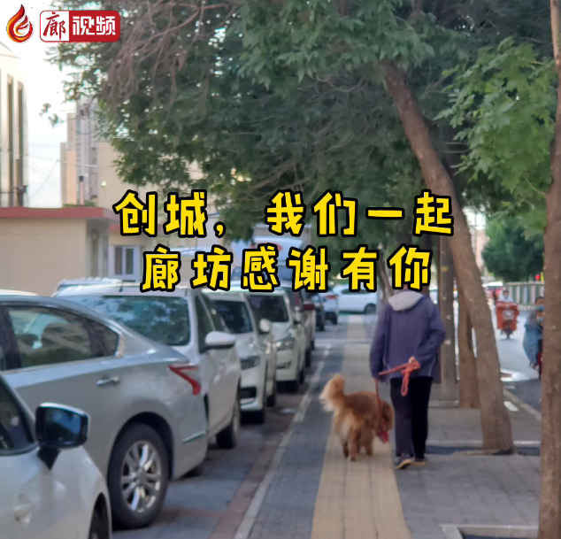 廊視頻 | “創(chuàng)城，我們一起”廊坊感謝有你
