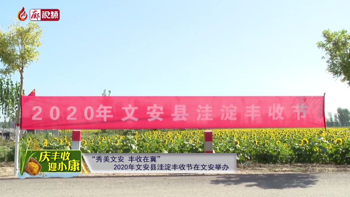  廊視頻 | “慶豐收迎小康”——“秀美文安，豐收在冀”2020年文安縣洼淀豐