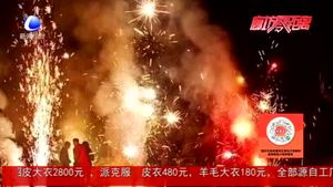 零距離·求真：廊坊將解禁春節(jié)煙花爆竹燃放？民警回應(yīng)：不實(shí)消息